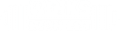 Winks Iron Lot